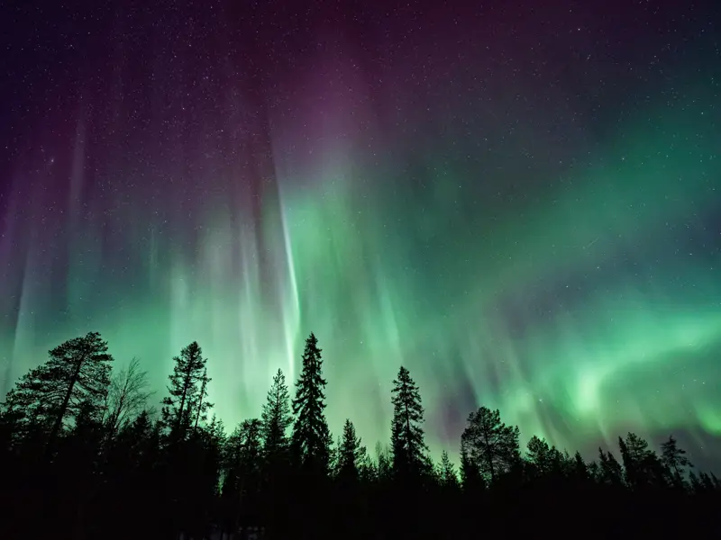 Image of the Northern lights - coloured lights against a night sky